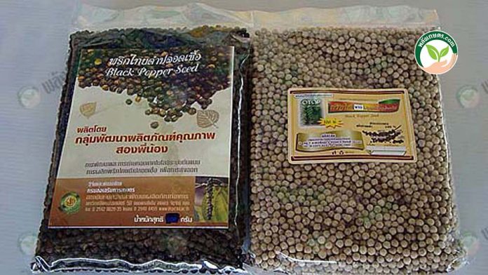 ผลิตภัณฑ์พริกไทยดำและพริกไทยขาวปลอดเชื้อ สดจาก สวนพริกไทย ผลิตภัณฑ์พริกไทยดำและพริกไทยขาวปลอดเชื้อ สดจาก สวนพริกไทย