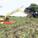 1.การกำจัดผักตบชวาเพื่อเปิดทางน้ำ