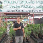 เปิดร้านจำหน่ายกิ่งพันธุ์ที่แสงอารีการ์เดนท์