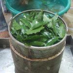 ใบอบเชยแก่ล้างสะอาดพร้อมกลั่น