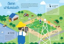 เกษตรแม่นยำสูง คืออะไรกัน? ทำไมเกษตรกรทั่วโลกถึงพูดกันสนั่นหวั่นไหว (ปล.ตอนท้ายท่านสามารถทดลองทำเกษตรแม่นยำสูงได้เลยวันนี้) Infographic-IoT-smart-farm-เกษตรแม่นยำสูง-เกษตรแม่นยำ