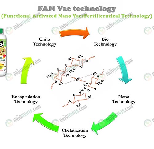 2.เทคโนโลยี-Fan-Vac