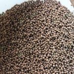 3.อาหารเม็ดลอยน้ำ