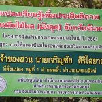 7.แปลงเรียนรู้เพิ่มประสิทธิภาพการผลิตไม้ผล