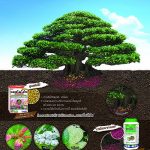 Advertisement-Banner-by-บริษัท-โซตัส-อินเตอร์เนชั่นแนล-จำกัด-www.sotus.co.th