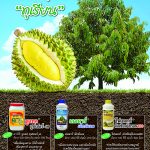 Advertisement-Banner-by-บริษัท-โซตัส-อินเตอร์เนชั่นแนล-จำกัด-www.sotus.co.th
