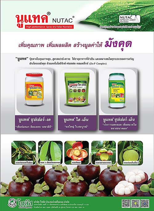 Advertisement-Banner-by-บริษัท-โซตัส-อินเตอร์เนชั่นแนล-จำกัด-www.sotus.co.th