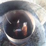 ปลาช่อนเผา