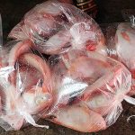 ปลาทับทิมพร้อมส่งให้กับลูกค้า