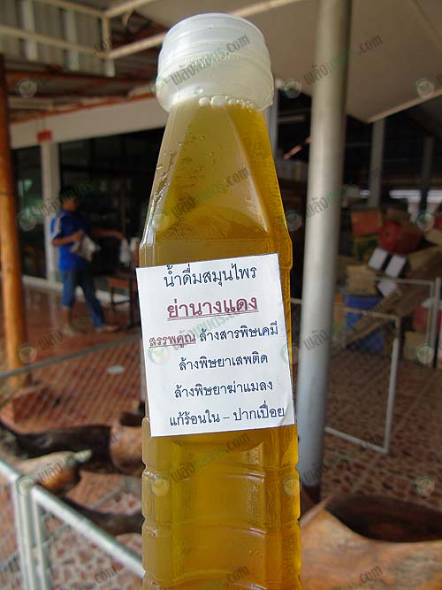สรรพคุณล้างสารพิษในร่างกาย