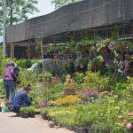 1.บรรยากาศการซื้อขายของตลาดราชบุรีอย่างเป็นกันเอง