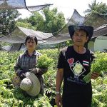 2.คุณธนพร-เอี่ยมสมัย-และคุณพูนผล-ศรีสุขแก้ว-เจ้าของสวนผักกูด