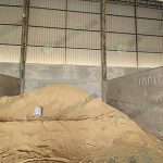 6.กากถั่ว