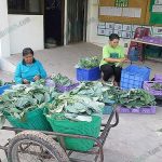 6.ทุกวันสมาชิกจะนำผลผลิตมาจำหน่ายและคัดแยกกันแบบนี้