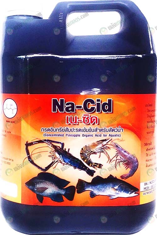 กรดอินทรีย์สับปะรดเข้มข้น-Na-Cid