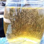 2.กุ้งขาวสายพันธุ์-OPF