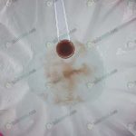 4.นอเพลียสคุณภาพ