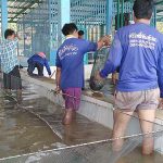 5.คนงานคัดลูกปลาตามขนาดต่างๆ