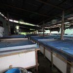 5.โรงเรือนเลี้ยงจิ้งหรีด