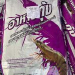 6.อาหารกุ้งขาวคุณภาพที่เสี่ยเบิร์ดร่วมปรับสูตรให้ได้คุณภาพ