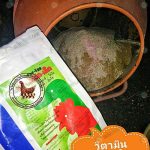 วิตามินบำรุงไก่ไข่