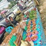 ไข่ไก่พร้อมจำหน่าย