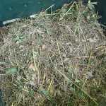 3.การทำปุ๋ยหมักแบบแห้ง-https.upload.wikimedia.orgwikipediacommonsee5Compost_site_germany