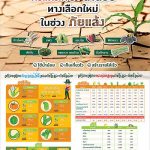 3.การเปรียบเทียบการใช้น้ำและผลตอบแทนของพืขไร่และพืขน้ำน้อย