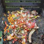 4.การทำปุ๋ยหมักแบบใช้เศษอาหาร-https.pixabay.comidphotoshijau-limbah-kompos-compost-bin-513609