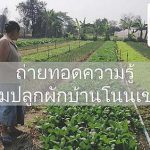 5.แปลงพืชน้ำน้อย