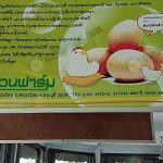 9.ไข่ซีลีเนียม