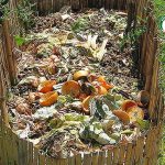 การทำปุ๋ยหมัก แบบใช้เศษพืชและอาหาร-https.upload.wikimedia.orgwikipediacommons88eCompost