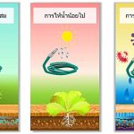 การให้น้ำ