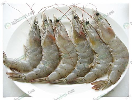 กุ้งขาว