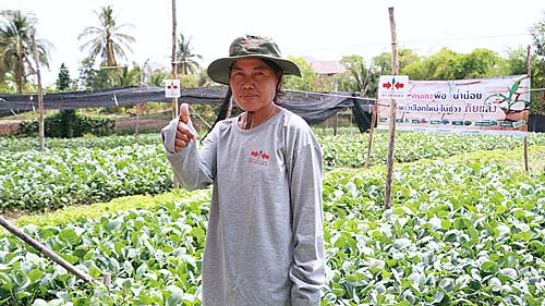 คุณโสภา-ชุมยางสิม-เกษตรกรผู้ปลูกพืชน้ำน้อย-บ้านโนนเขวา