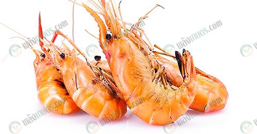 มีคอเลสเตอรอลต่ำ-โปรตีนสูง-
