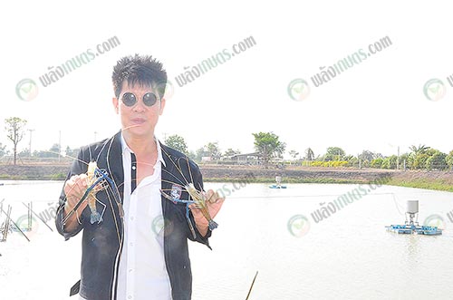 1.กำนันโอ่งมั่นใจกุ้งก้ามกรามจากฟาร์มได้คุณภาพ-ตัวใหญ่