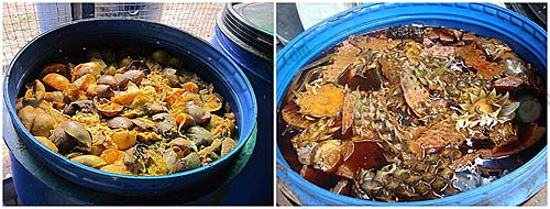 น้ําหมักชีวภาพ เพื่อใช้เอง แจก! 4 สูตร วิธีและขั้นตอนการทำ ทำง่าย ใครก็ทำได้ น้ําหมักชีวภาพ เพื่อใช้เอง แจก! 4 สูตร วิธีและขั้นตอนการทำ ทำง่าย ใครก็ทำได้