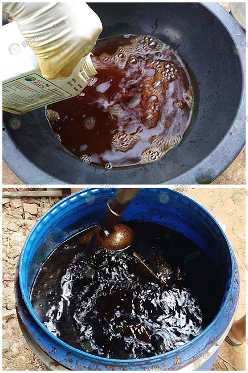 น้ําหมักชีวภาพ เพื่อใช้เอง แจก! 4 สูตร วิธีและขั้นตอนการทำ ทำง่าย ใครก็ทำได้ น้ําหมักชีวภาพ เพื่อใช้เอง แจก! 4 สูตร วิธีและขั้นตอนการทำ ทำง่าย ใครก็ทำได้