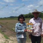 5.คุณขวัญชัยและภรรยากับแปลงนาข้าวไรซ์เบอร์รี่