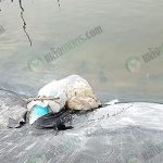 ท่อปล่อยน่ำเข้าบ่อที่มีการใช้ผ้ากรองป้องกันลูกปลา