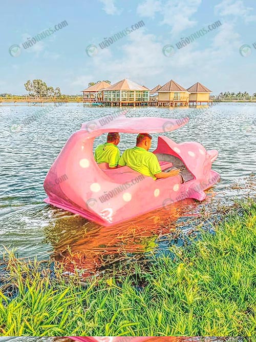 เรือปั่นก็มีบริการ