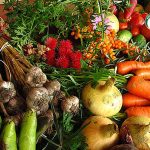 การปลูกผักปลอดสารพิษ หลากหลายชนิด (https.upload.wikimedia.orgwikipediacommonsffaEcologically_grown_vegetables)