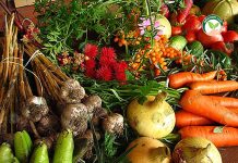 การปลูกผักปลอดสารพิษ หลากหลายชนิด (https.upload.wikimedia.orgwikipediacommonsffaEcologically_grown_vegetables)