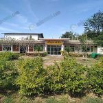 5.บรรยากาศโดยรอบของศรีสุรภาฟาร์ม