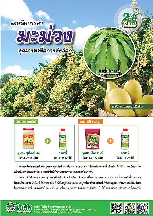 Advertisement Banner by บริษัท โซตัส อินเตอร์เนชั่นแนล จำกัด www.sotus.co.th