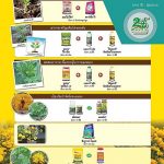 Advertisement-Banner-by-บริษัท-โซตัส-อินเตอร์เนชั่นแนล-จำกัด-www.sotus.co.th