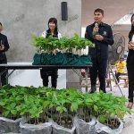 พรรคเพื่อไทยชูโครงการผลิตกล้าไม้คุณภาพให้ประชาชนจำนวน 2,100 ล้านต้น