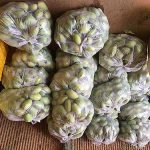 มะม่วงแก้วขมิ้นพร้อมส่งตลาดเพื่อจำหน่าย