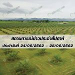 สถานการณ์ข่าว ประจำสัปดาห์วันที่ 24-28 มิถุนายน 2562